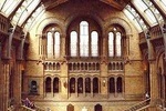 London Natural History Museum Private Tour for Kids & Families