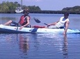 One Tandem Kayak Rental for 2 hours with dolphins and Manatees!