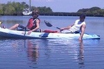One Tandem Kayak Rental for 2 hours with dolphins and Manatees!