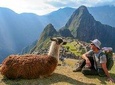 2 Days Direct Train to Machu Picchu via Ollantaytambo 