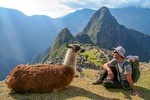 2 Days Direct Train to Machu Picchu via Ollantaytambo 
