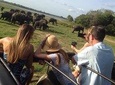 Minneriya Elephant Safari With Sigiriya Rock & Dambulla Cave Temples (Full Day)