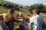 Minneriya Elephant Safari With Sigiriya Rock & Dambulla Cave Temples (Full Day)