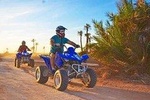 Quad Biking in Marrakech Palm Grove 