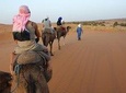 2Day Desert Safari to Zagora from Marrakech Including Camel Trek and Desert Camp