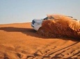 Private Morning Safari With 10 Minutes Camel Ride