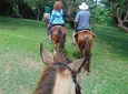 Nature & Historical Horseback Riding Tours St. Lucia