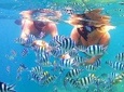 3D/2N (Hostel) Backpacker Lombok Tour Package