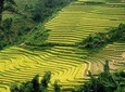 From Hanoi: 3-Day Sapa Trekking and Bus Tour