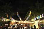 Mexican Party Tour Xoximilco