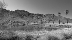Zzyzx Road to Soda Springs