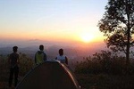 Night Camping Tour