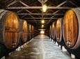Private Lisbon wine tasting tour in the Setubal region