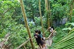 Ubud village trekking ending at hidden waterfall with lunch box