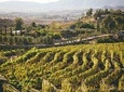 Ansell Wine Tours Valle Experience