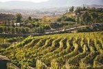 Ansell Wine Tours Valle Experience