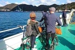 Umino Naruto Pottering Tour @ Naruto Seaside BROMPTON Bicycle Tour