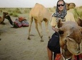 Lazy camel safari