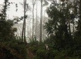 Trekking Finca La Argentina 2 days (3450 masl)