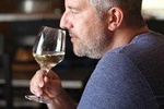 Albufeira & Vilamoura: Algarve Wine Tour in a VW T2 Van