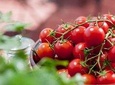 Olive Harvest 2021: Invitation to Work with Us (Free Transfer Included)