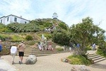 Cape Of Good Hope, Penguins Private Tour from Cape Town full day plus entry fees