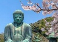 Kamakura One Day Tour By Car