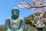 Kamakura One Day Tour By Car