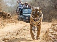 6 Days Golden Triangle Tour with Ranthambore from Delhi