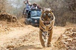 6 Days Golden Triangle Tour with Ranthambore from Delhi