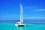 Full Day Private Catamaran Cruise East Coast
