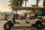 C&S 6 Seater Golf Cart Rental
