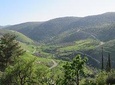 Jordan Horizons Tours: 6 Day 5 night Jordan Tour