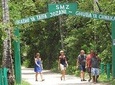 Jozani Forest Tour