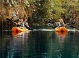 Xenotes Tour Hidden Oasis 