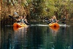 Xenotes Tour Hidden Oasis 