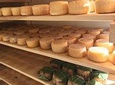  Slow food experience in Agro-tourism farm day tour