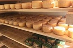  Slow food experience in Agro-tourism farm day tour