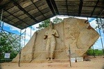 Day Tour to Sigiriya Rock Fortress & Polonnaruwa From Kandy.