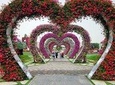 Miracle Garden Dubai Tour With Ticket