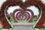 Miracle Garden Dubai Tour With Ticket