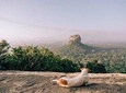 Day Tour to Pidurangala From Negombo.