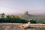 Day Tour to Pidurangala From Negombo.