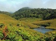 4 Days Tour with Hiking and Scenic Train Ride