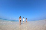 [Ishigaki] SUP/Canoe tour at Mangrove Forest + Snorkeling tour at Phantom Island