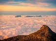 Trekking Adams Peak Safari & Night Life at Adams peak