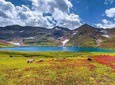 10 Days Hunza Nagar Naltar Valley Experience
