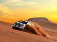 Desert Safari Tour