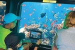 Scuba Boat Semi-Submarine Hurghada