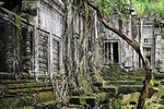 Koh Ker and the Jungle Lost Beng Mealea Joined Tour